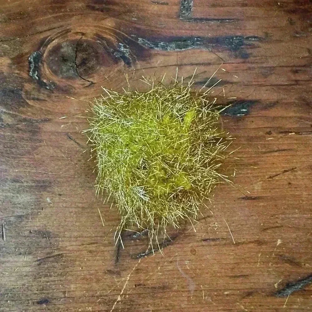 Yellow Sparkle Cat Toy Ball NWOT